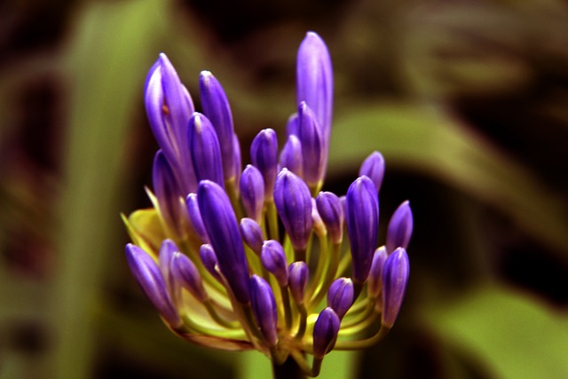 韩K附加赛战报：济州2-0水原三星，总比分3-0成功保级