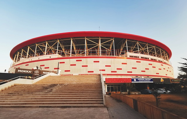 此次的升位 此次的升位