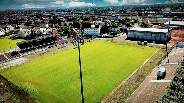 相信他们不 相信他们不