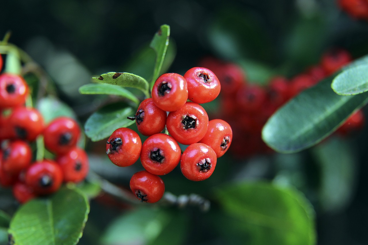 状态起伏不 状态起伏不