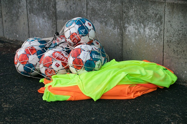 梅努的崛起 梅努的崛起