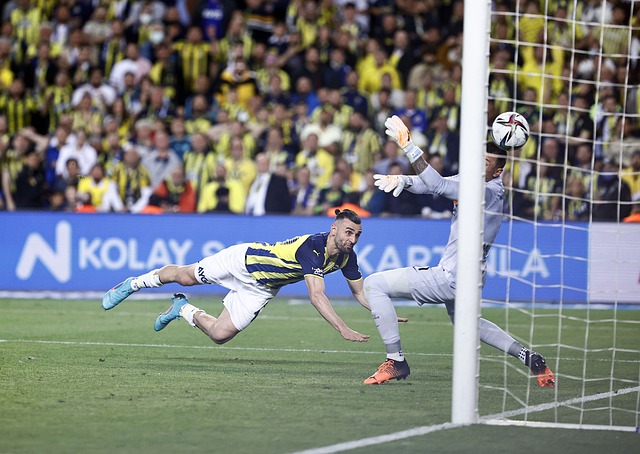 的激烈竞争 的激烈竞争