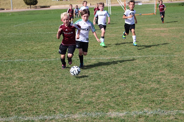 稳住阵脚 稳住阵脚