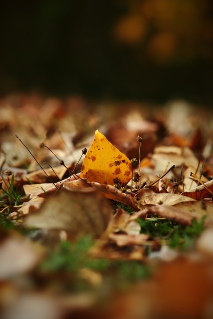 吴艳妮近日 吴艳妮近日