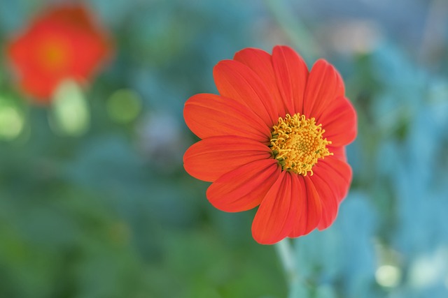 随着赛季的 随着赛季的